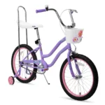 US warehouse 20 Inch Bike with Training Wheels, Banana Seat for Girls Ages 6-15 Years, Front Handbrake, Coaster Brakes 6