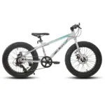 Hiland 20 Inch Kids' Bicycles Fat Tire Mountain Bike for  Age 5 + Years, Shimano 7-Speed, Dual-Disc Brake,Kids BeachBicycle 9